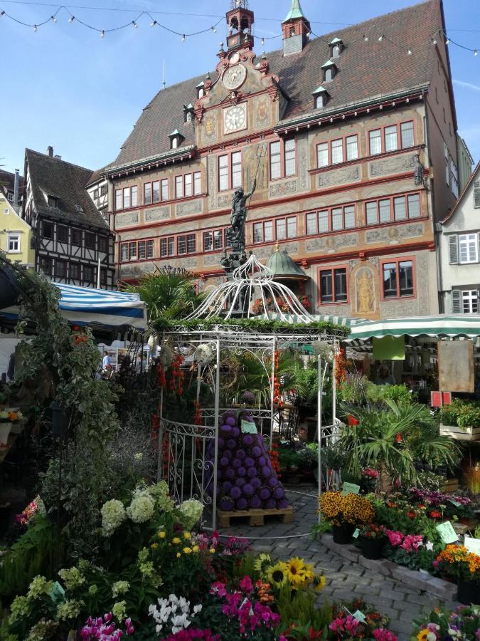 Schoene, Grosse Ferienwohnung In Waldenbuch, Nahe Stuttgart Messe, Boeblingen, Sindelfingen Exterior photo